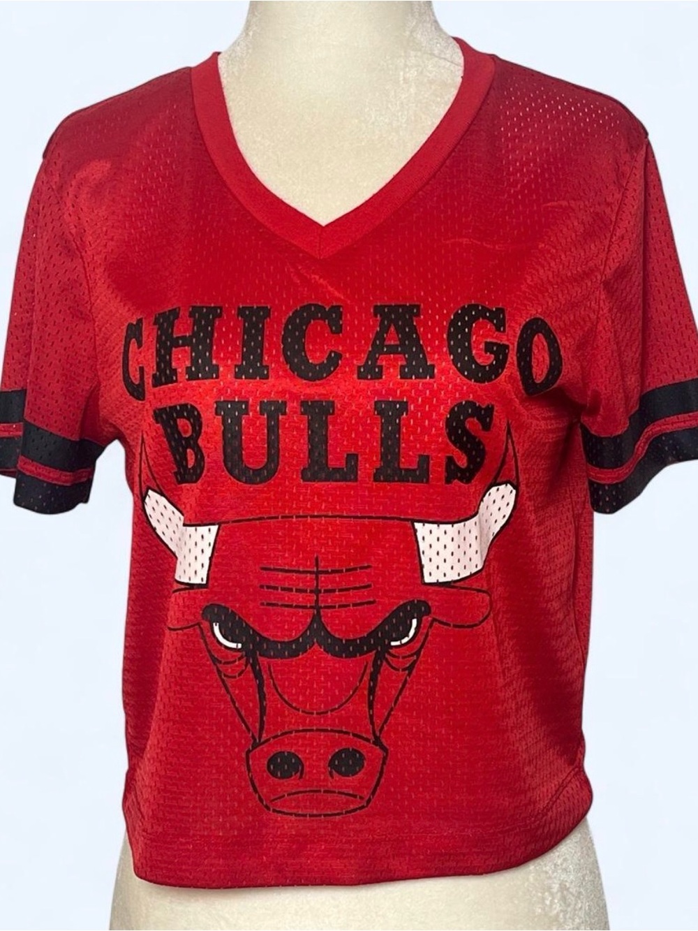 NBA Chicago Bulls Red Cropped Mesh Basketball Jersey Small Streetwear